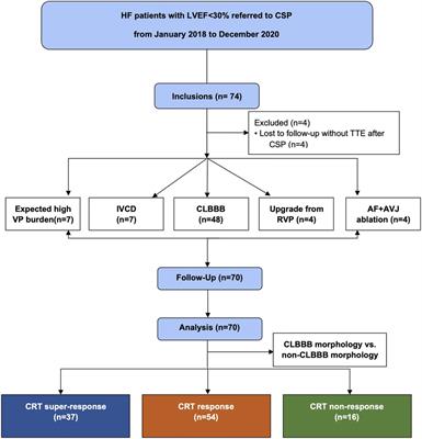 The feasibility and safety of his-purkinje conduction system pacing in patients with heart failure with severely reduced ejection fraction